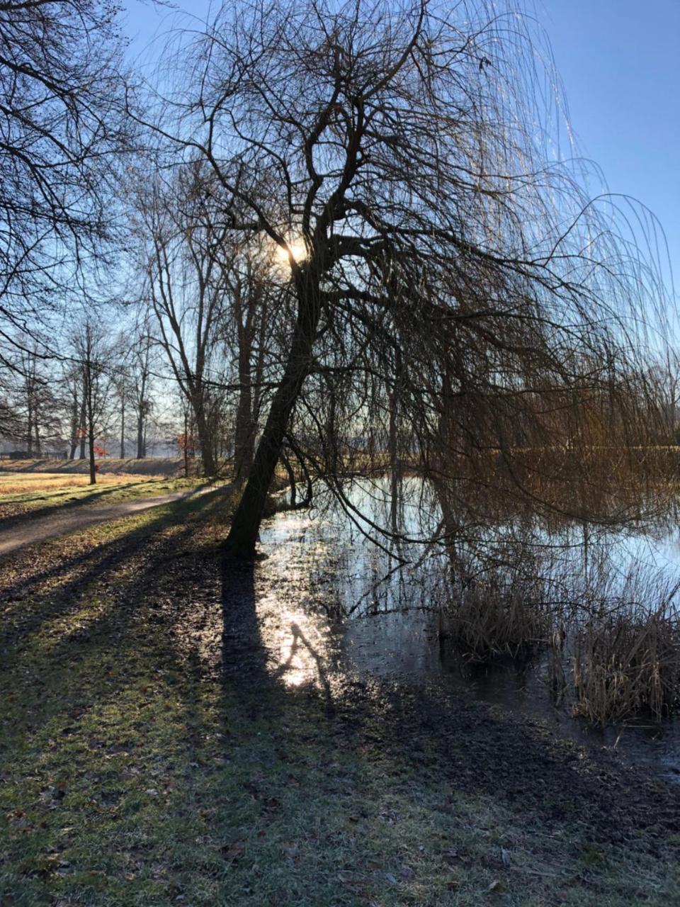 Koenig'S Hotel Am Schlosspark เรดา วีเดนบรุค ภายนอก รูปภาพ